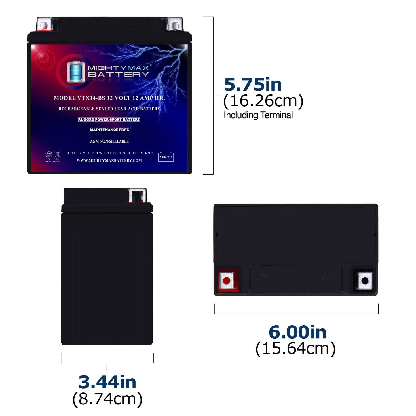 Mighty Max Battery YTX14-BS - 12 Volt 12 AH, 200 CCA, Rechargeable Maintenance Free SLA AGM Motorcycle Battery