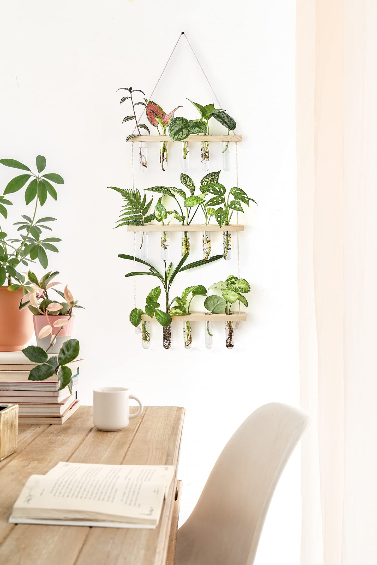 Mkono 3 Tiered Wall Hanging Plant Terrarium with Wooden Stand, Glass Planter for Hydroponic Plant Cutting, Home Garden Office Decor, Gift