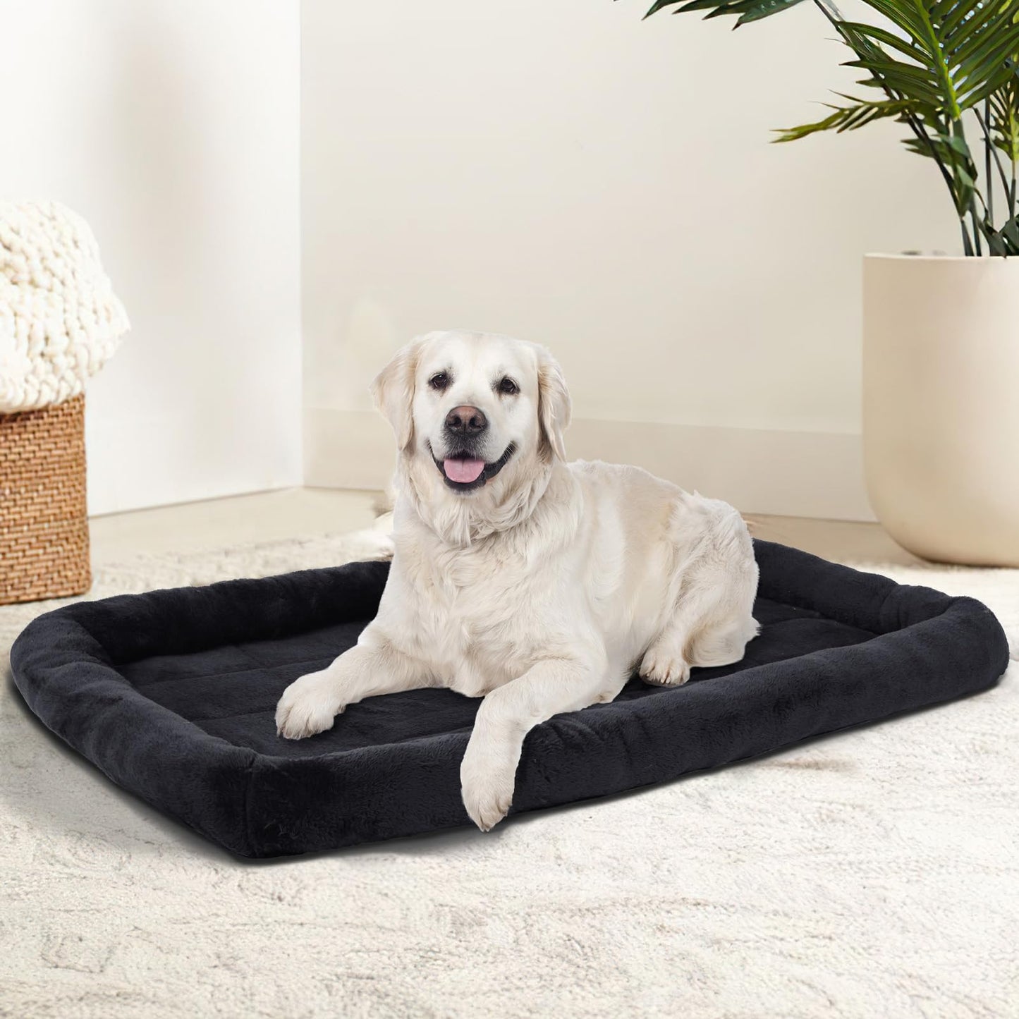 Patas Lague Bolster Dog Bed for Extra Small Dogs 16''x12'', Soft Warm Foam Pet Sofa Bed, Machine Washable Pet Cat Crate Mat for Toy Breeds, Black