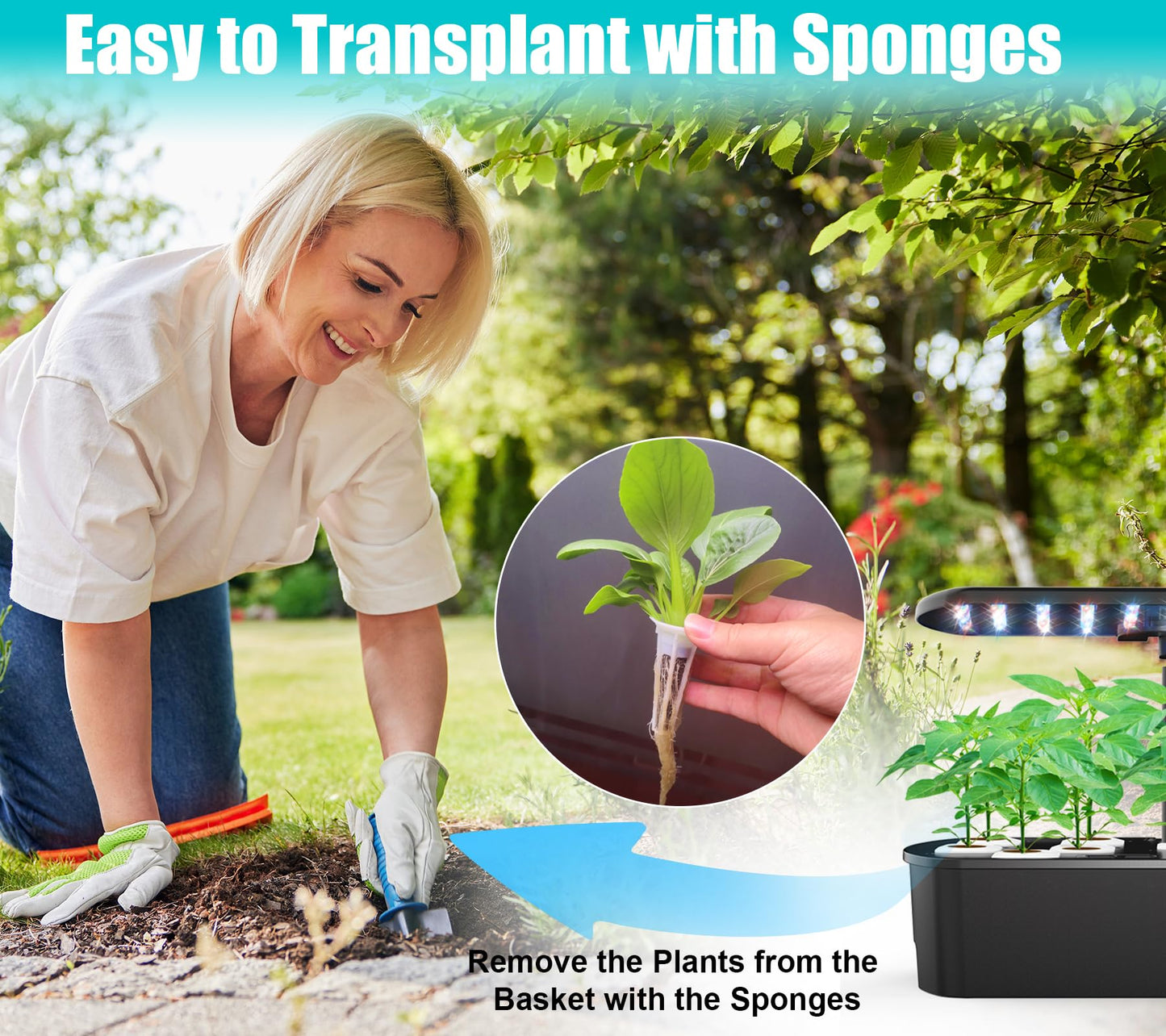 Aerogarden Pod Replacement Kit - Hydroponic Accessories with 12 Grow Sponges, Baskets, Labels, Domes and A&B Nutrients