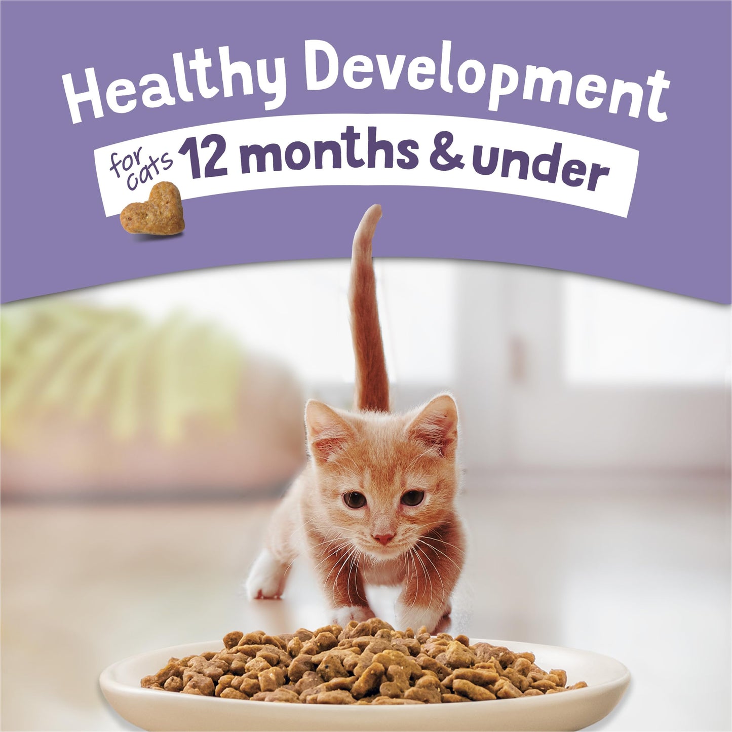 Purina Kitten Chow 14lb