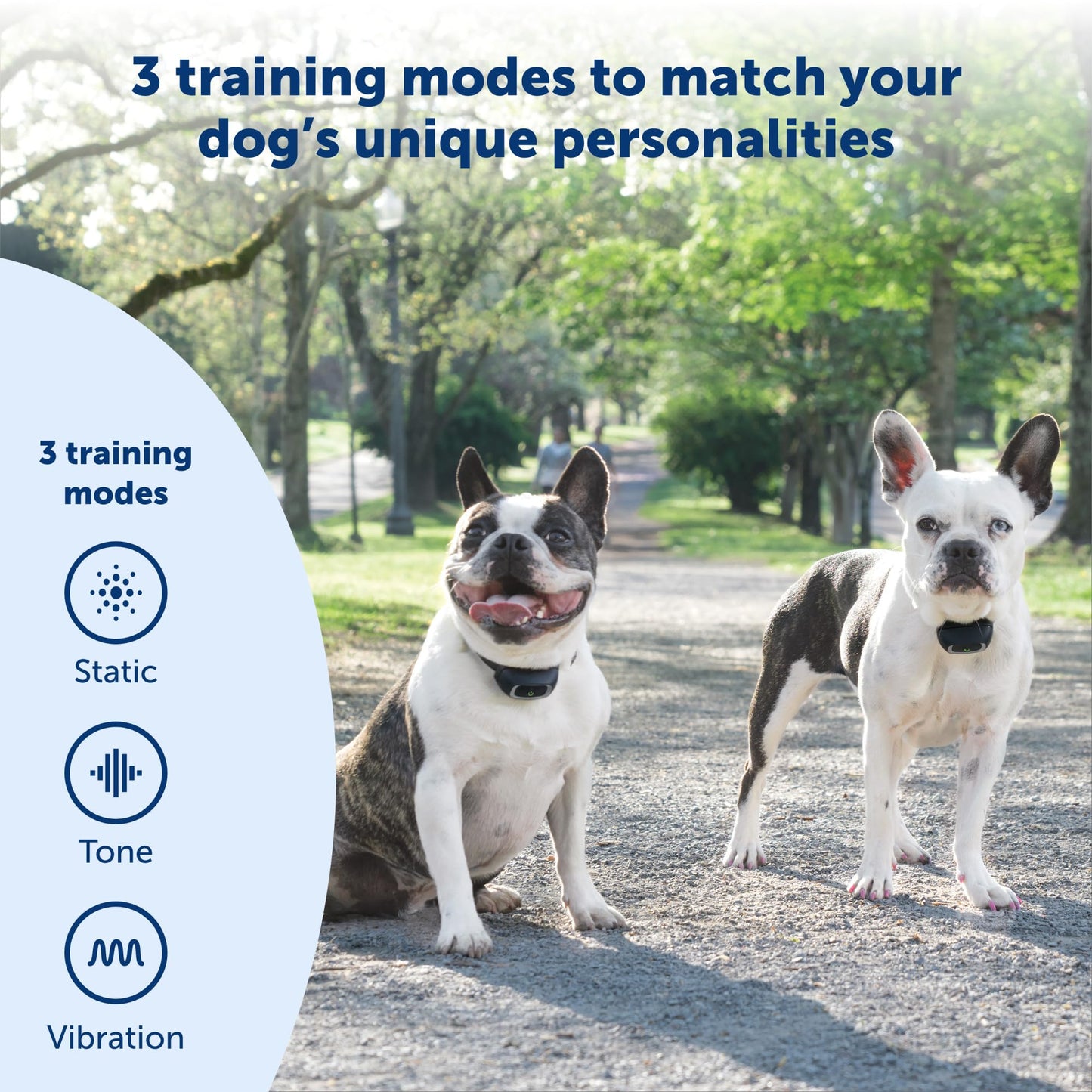 PetSafe Add-A-Dog Remote Training Collar – Perfect for Small, Medium and Large Dogs – Choose from Tone, Vibration, or 15 Levels of Static Stimulation – Waterproof and Durable – Rechargeable