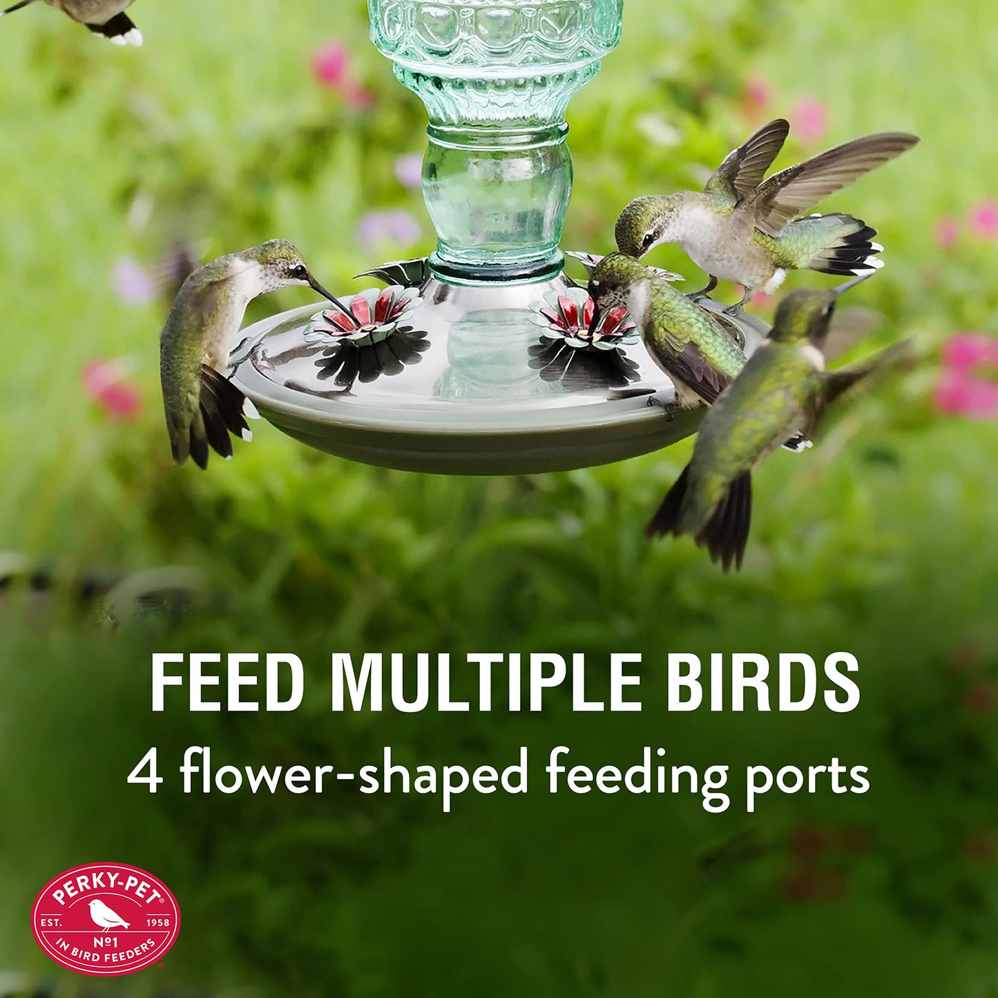 Perky-Pet Glass Hummingbird Feeders for Outdoors - Antique Bottle Style Bird Feeder - 10 Oz Humming Bird Feeders for Outdoor Garden Decor