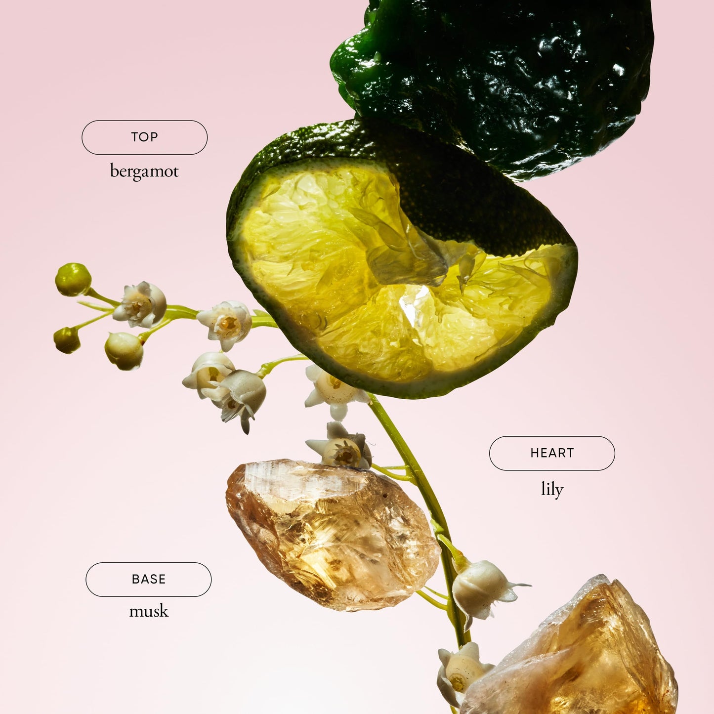 philosophy amazing grace eau de toilette 2 fl oz