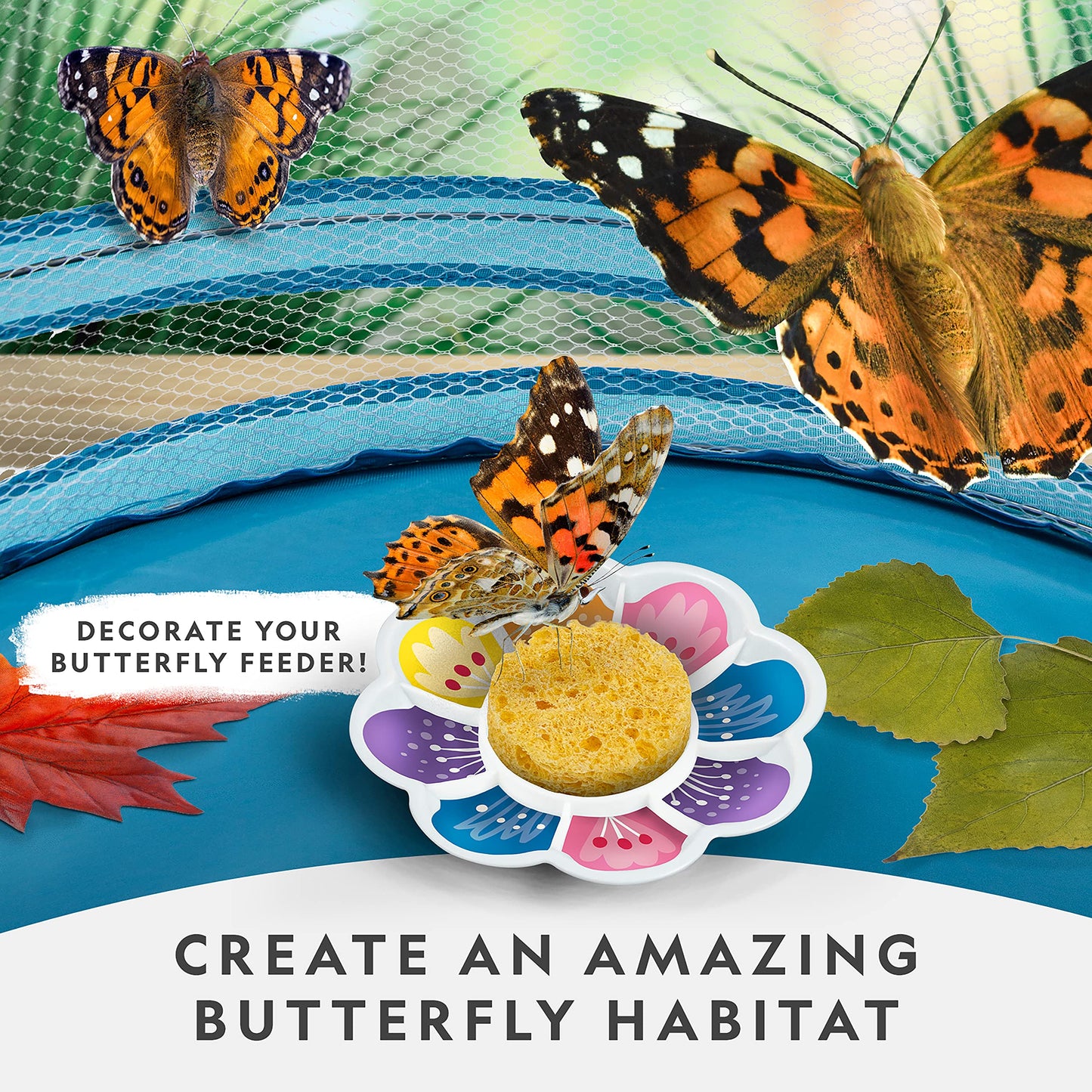 National Geographic Butterfly Growing Kit - Butterfly Habitat Kit with Voucher to Redeem 5 Caterpillars (S&H Not Included), Butterfly Cage, Feeder (Amazon Exclusive)