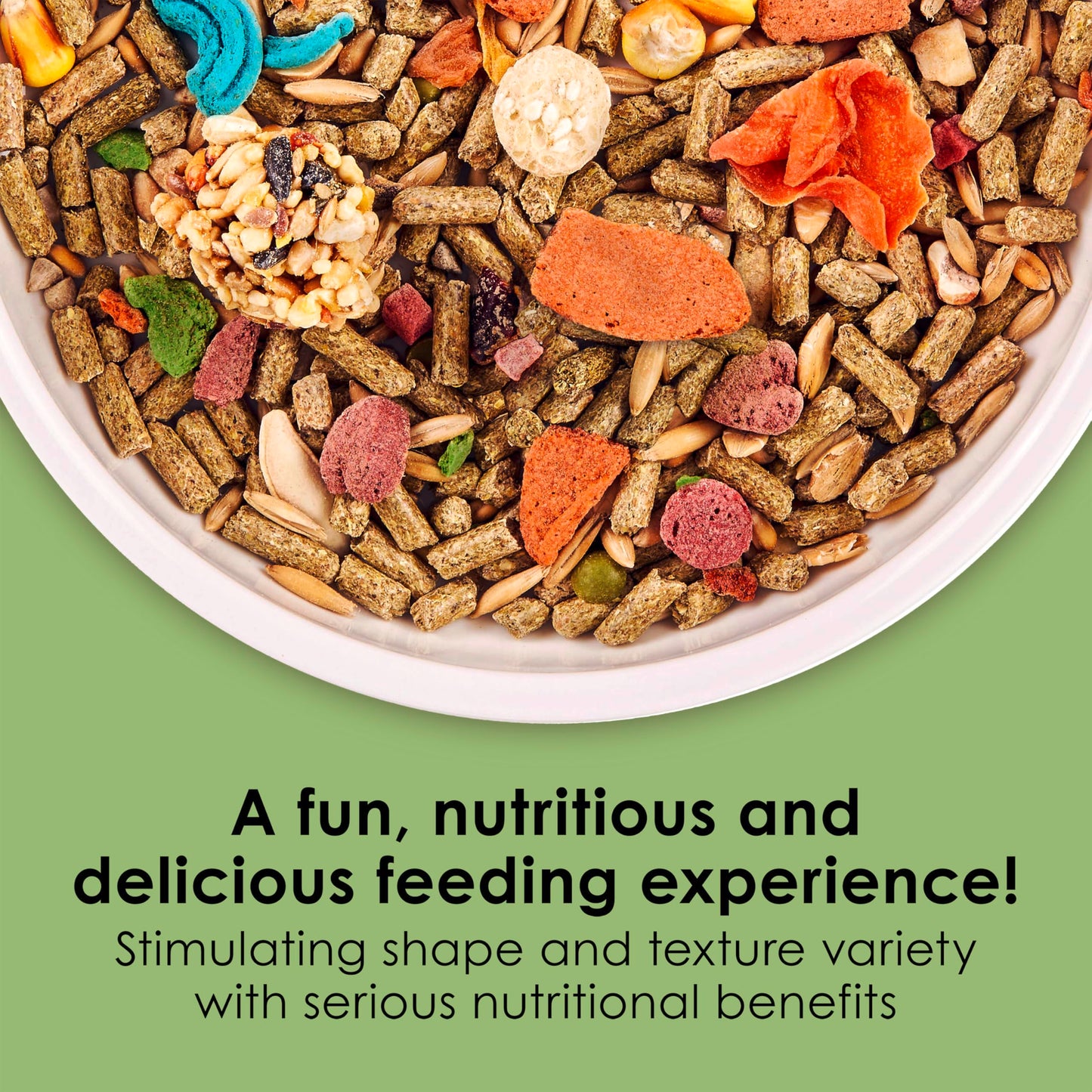 Kaytee Fiesta Guinea Pig Food, Nutritious and Fun Blend, Supports Dental Health and Digestion, 4.5 pounds