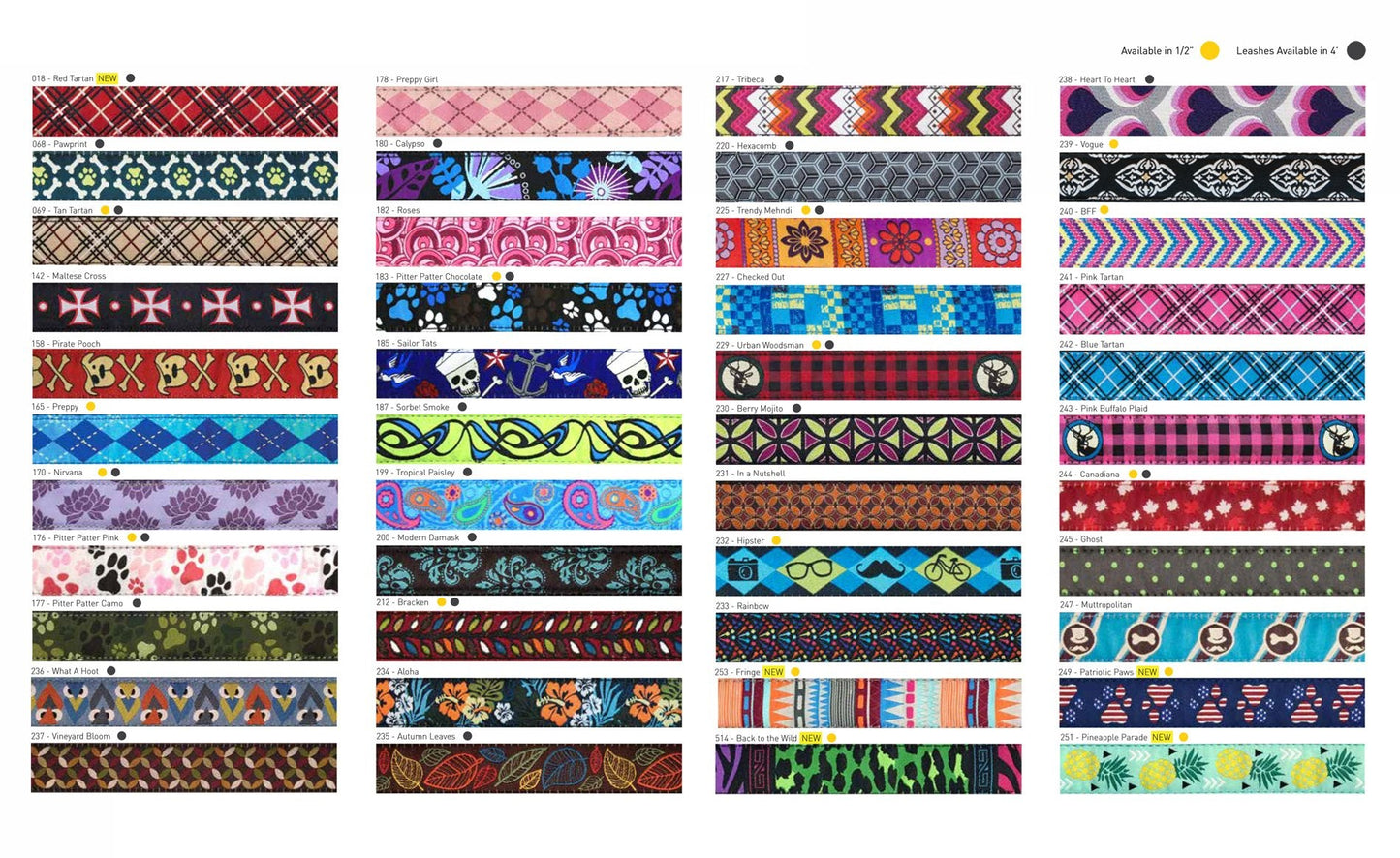 RC Pets 3/4" x 6 ft Dog Leash, Tropical Paisley