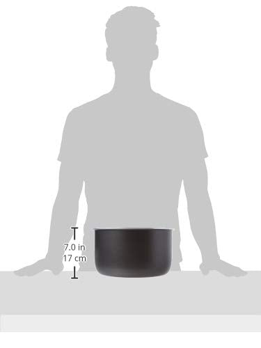 Ninja Foodi 6.5-qt. Ceramic Coated Nonstick Inner Pot, Compatible with all Ninja Foodi 6.5 qt. models, Dishwasher Safe Gray. 102FY300