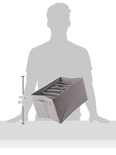 Amazon Basics Underwear Dresser Drawer Organizers, Pack of 2, Gray