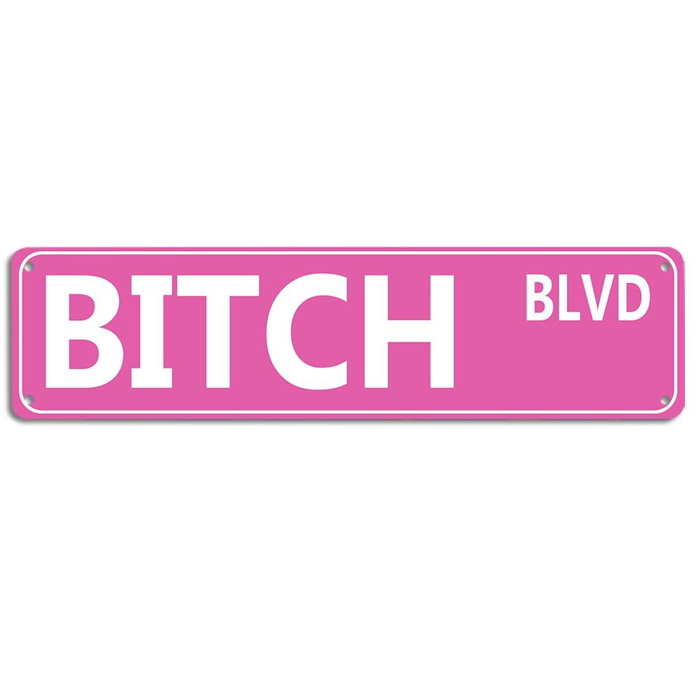 Retro Pink Tin Metal Sign - 'BITCH BLVD' - Bold Statement Decor for Home, Bar, or Dorm - 16x4 Inches - Unique Gift Idea for Friends(B71)