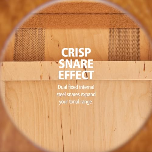 Meinl Percussion Jam Cajon Box Drum with Snare and Bass Tone for Acoustic Music — Made in Europe — Baltic Birch Wood, Play with Your Hands, 2-Year Warranty (JC50LBNT)