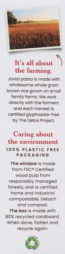 Jovial Whole Grain Brown Rice Elbows Pasta -Whole Grain Pasta, Organic, Gluten Free, Dairy Free, Brown Rice, Made in Italy - 12 Oz, 1 Pack