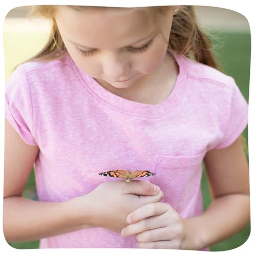 Insect Lore Butterfly Garden - 8" Habitat with 5 Live Baby Caterpillars - Includes Life Cycle Figurines, Stickers, Wind up, Mini Habitat | Birthday or Teacher Gift Set