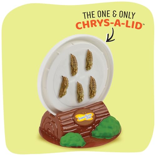 Insect Lore Butterfly Garden - 8" Habitat with 5 Live Baby Caterpillars - Includes Life Cycle Figurines, Stickers, Wind up, Mini Habitat | Birthday or Teacher Gift Set
