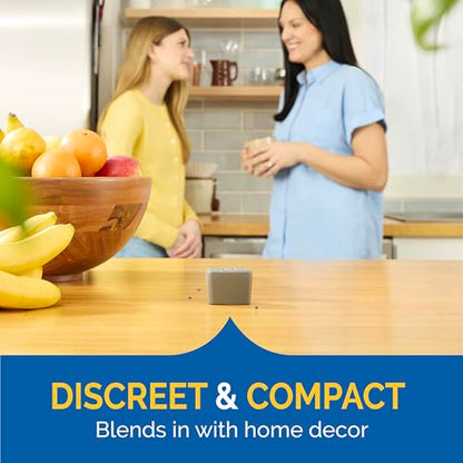 Hot Shot Flying Insect Trap, Discreet, Trap Attracts and Captures House Flies and Fruit Flies, 24/7 Continuous Attraction, No Plug-in Or Electricity Needed, 6 Count