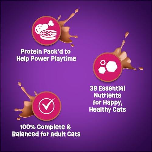 Purina Friskies Dry Cat Food Gravy Swirl'd With Flavors of Chicken, Salmon and Gravy - 3.15 lb. Bag