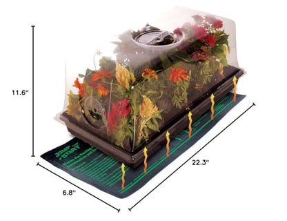 Jump Start CK64060 120V 17W Germination Hot House with Heat Mat, Watertight Tray, Cell Insert and 7" Humidity Dome