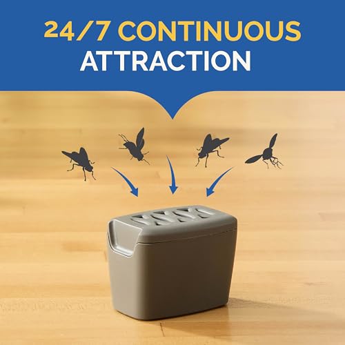 Hot Shot Flying Insect Trap, Discreet, Trap Attracts and Captures House Flies and Fruit Flies, 24/7 Continuous Attraction, No Plug-in Or Electricity Needed, 6 Count