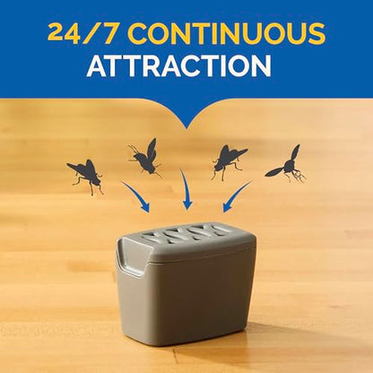 Hot Shot Flying Insect Trap, Discreet, Trap Attracts and Captures House Flies and Fruit Flies, 24/7 Continuous Attraction, No Plug-in Or Electricity Needed, 6 Count