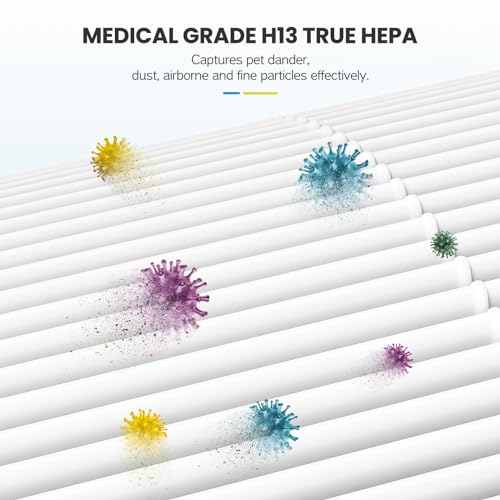 12020 Filter Replacement Compatible with Clorox Tabletop Air Purifier model # 11020 and Clorox Tabletop Smart Air Purifier model # 11021, 12020 HEPA Filter with 200 Sq. Ft. Capacity, 2 Pack