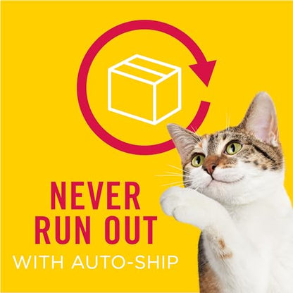 Purina Friskies Dry Cat Food Gravy Swirl'd With Flavors of Chicken, Salmon and Gravy - 3.15 lb. Bag