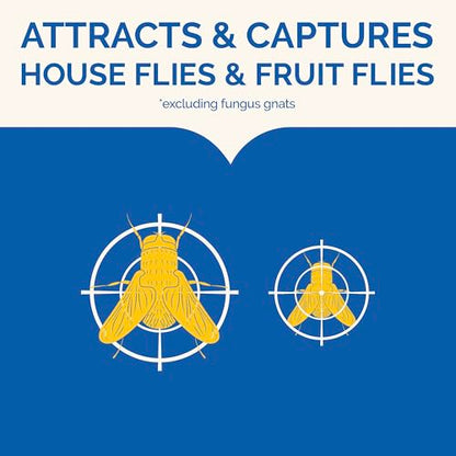 Hot Shot Flying Insect Trap, Discreet, Trap Attracts and Captures House Flies and Fruit Flies, 24/7 Continuous Attraction, No Plug-in Or Electricity Needed, 6 Count