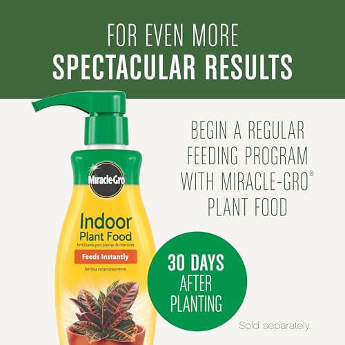 Miracle-Gro Houseplant Potting Mix: Fertilized, Perlite Soil for Indoor Gardening, Designed to Be Less Prone to Gnats, 4 qt.