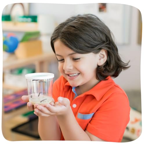 Insect Lore Butterfly Garden - 8" Habitat with 5 Live Baby Caterpillars - Includes Life Cycle Figurines, Stickers, Wind up, Mini Habitat | Birthday or Teacher Gift Set