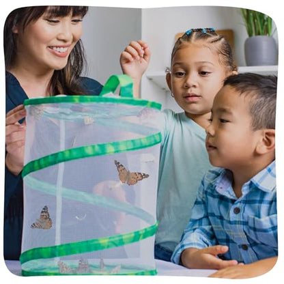 Insect Lore Raise and Release Butterfly Garden Kit – Caterpillar Habitat with redeemable Voucher – STEM-accredited Live Butterfly Growing Kit for Kids, Classrooms, and Homeschool Learning
