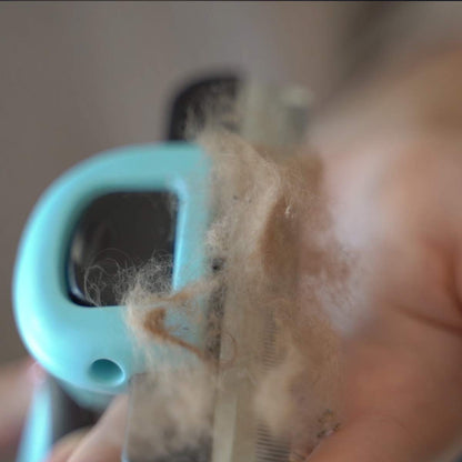 Petgle Cat Brush & Cat Comb for Shedding, 2.5inch Blue - Hair Brush for Long Hair and Short Hair, Pet Grooming Tool for Small to Medium Dogs and Cats, Detangle, Eco Friendly, Weekly Grooming