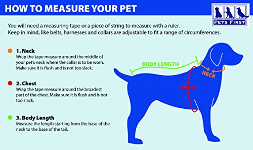 Pets First NFL DOG BANDANA - KANSAS CITY CHIEFS REVERSIBLE PET BANDANA. 2 Sided Sports Bandana with a PREMIUM Embroidery TEAM LOGO, Small/Medium. - 2 Sizes & 32 NFL Teams available (KCC-3217-S-M)