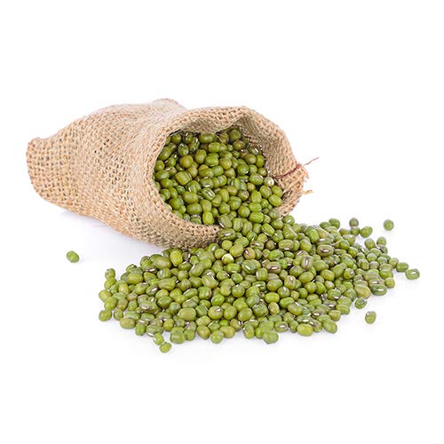 Nature Jims Premium Mung Bean Sprouting Seeds – 16 Oz – NON GMO- Resealable Bag for Longer Freshness – Rich in Vitamins, Minerals, Fiber