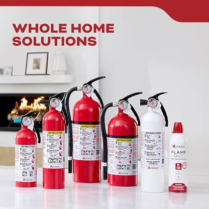 Kidde Fire Extinguisher for Kitchen, Residential, Single-Use, 711A