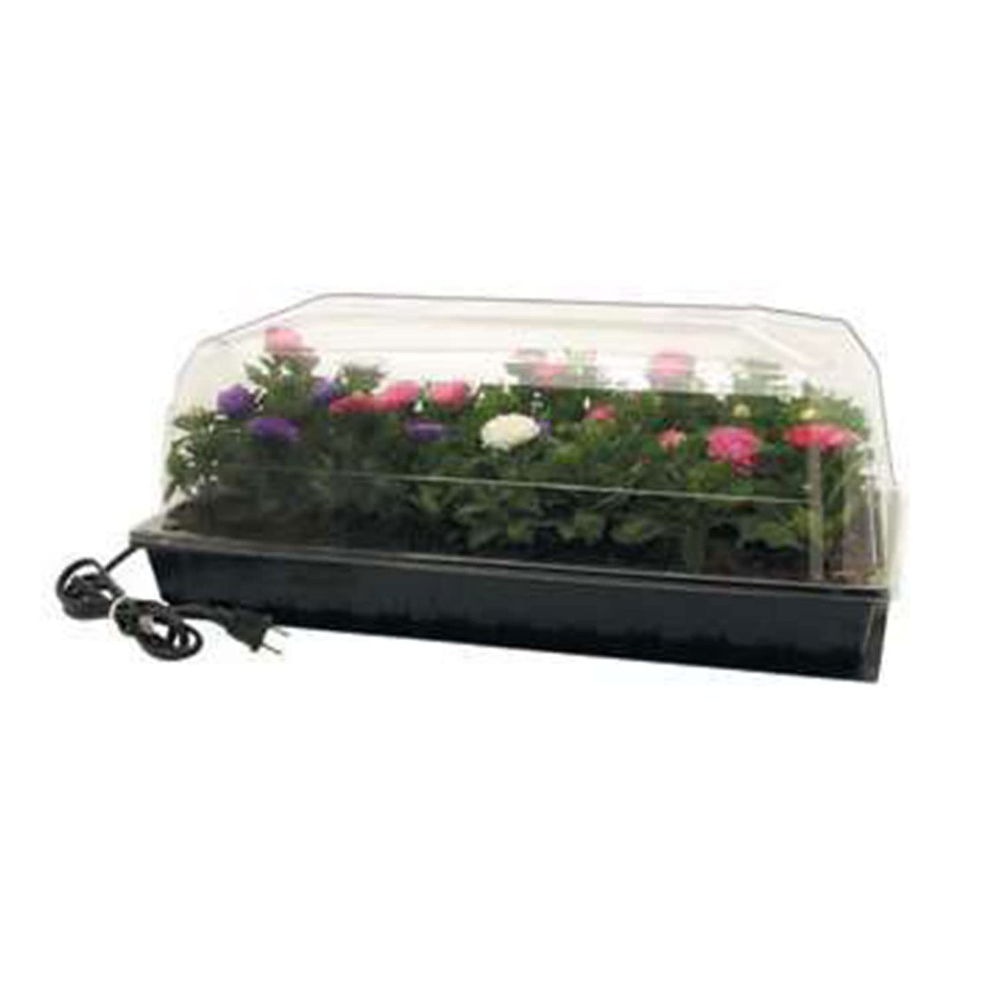 Jump Start CK64060 120V 17W Germination Hot House with Heat Mat, Watertight Tray, Cell Insert and 7" Humidity Dome