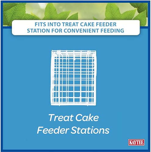 Kaytee Wild Bird Gourmet Seed Cake For Cardinals, Chickadees, Juncos, Titmice, Woodpeckers and More, 2 Pounds