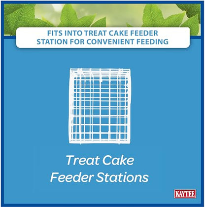 Kaytee Wild Bird Gourmet Seed Cake For Cardinals, Chickadees, Juncos, Titmice, Woodpeckers and More, 2 Pounds