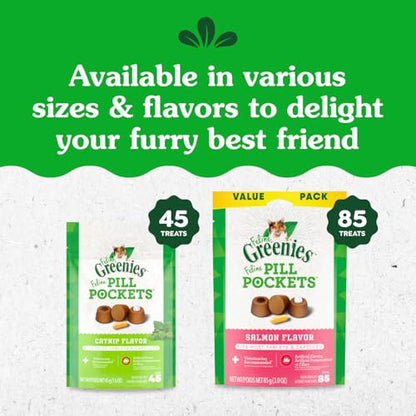 Greenies Feline Pill Pockets for Cats Natural Soft Cat Treats, Catnip Flavor, 1.6 oz. Pouch (45 Treats)