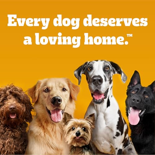 Pedigree Choice Cuts in Gravy Adult Canned Soft Wet Dog Food, Beef, 13.2 oz. Cans (12 Count, Pack of 1)