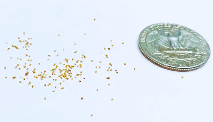 Micro Landscape Design Lithops 50 Seeds with 5 Baby Plants and 1 Germination Kit, High Germination Rate, Freshly Harvest, Fun & Easy Grow Kit for Lithops Beginners