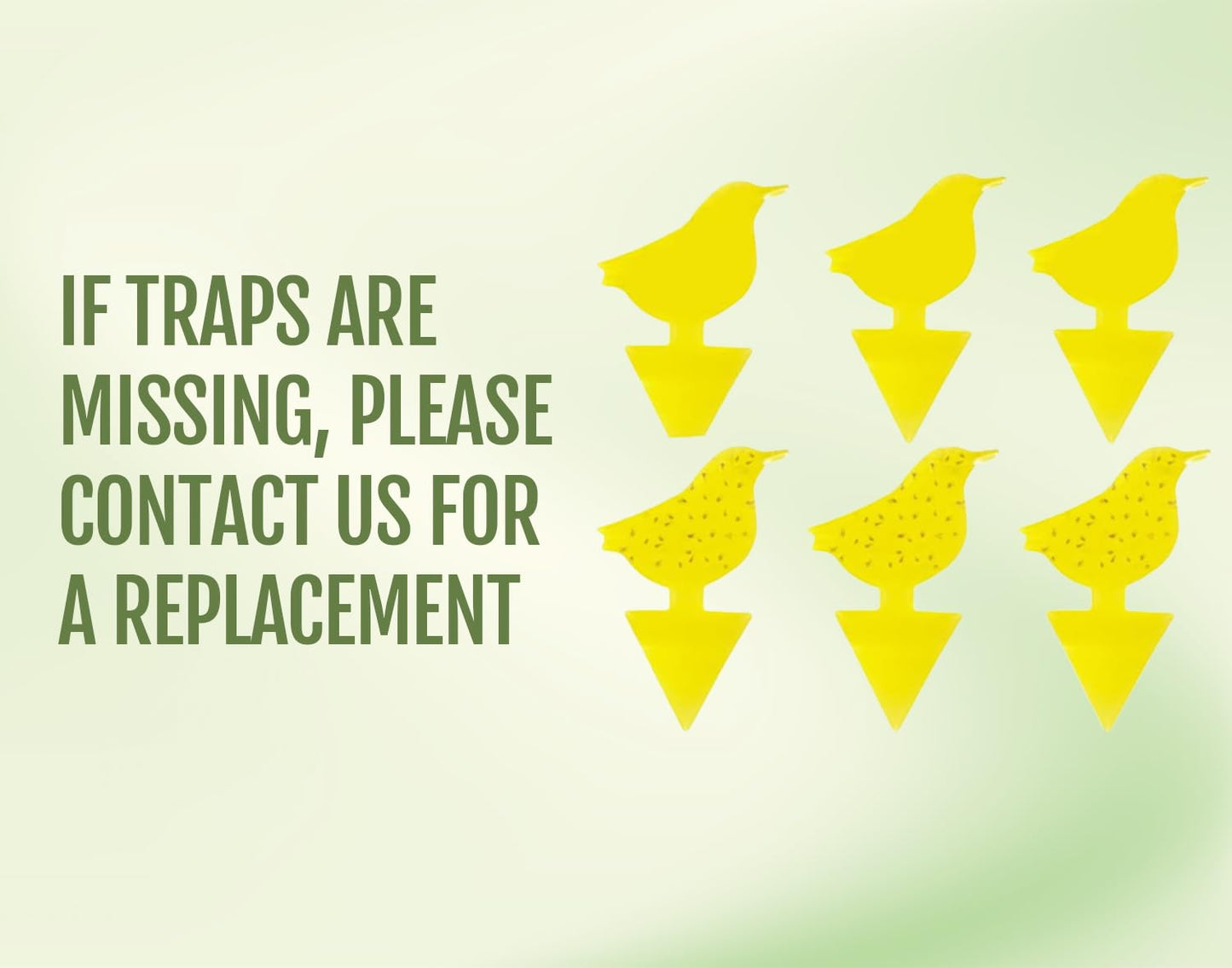 Kate's Home & Garden Plant Spray for Insects & Getting Rid of Gnats with 12 Sticky Traps. Fungus Gnat Killer & Bug Spray for Indoor Plants (16oz, Pet Safe, Non Toxic)