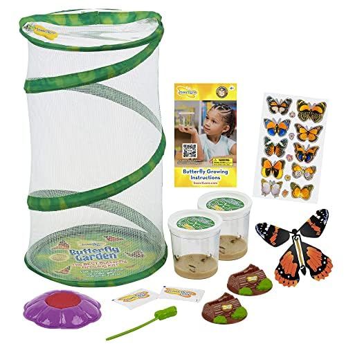 Insect Lore Butterfly Garden 8" Habitat Gift Set with 10 Live Baby Painted Lady Caterpillars - Includes Baby Caterpillars, Raising Supplies, 3D Butterfly Stickers and Butterfly Wind-up Toy