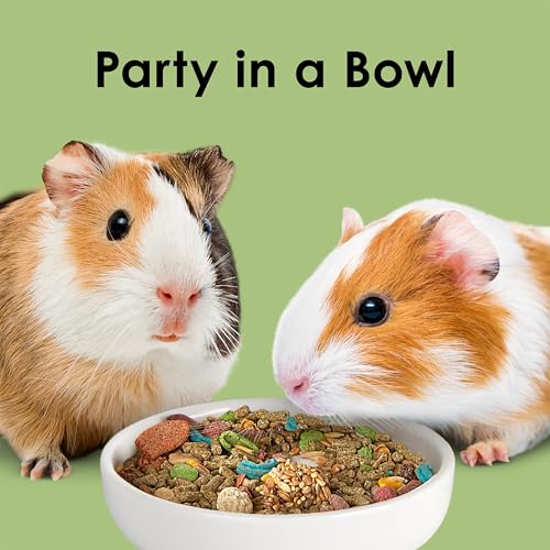 Kaytee Fiesta Guinea Pig Food, Nutritious and Fun Blend, Supports Dental Health and Digestion, 4.5 pounds