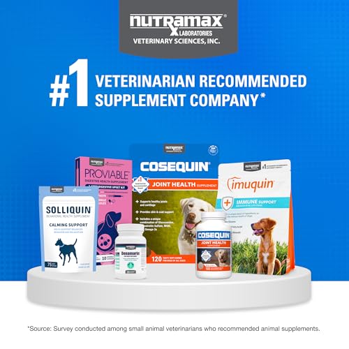 Nutramax Cosequin for Dogs Joint Health Supplement, Contains Glucosamine, Plus Chondroitin, MSM and Omega-3s, Supports Joint and Skin and Coat Health, Soft Chews, 120 Count