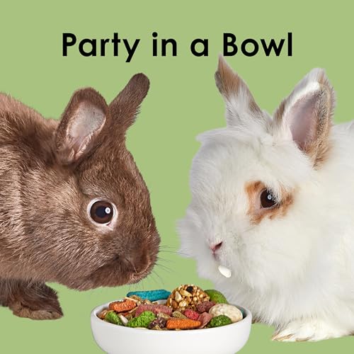 Kaytee Fiesta Rabbit Food, Nutritious and Fun Blend, Supports Dental Health and Digestion, 20 pounds