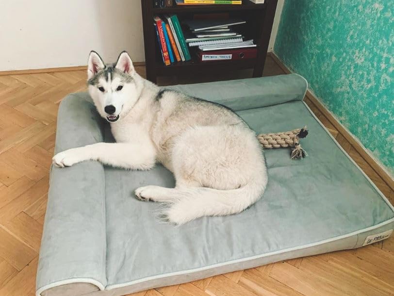 PetFusion BetterLounge Orthopedic Dog Bed | Solid CertiPUR-US Memory Foam, Waterproof liner | Medium / Large & XL | Removable Micro-Suede Cover Available Separately, 1 YR Warr,Grey