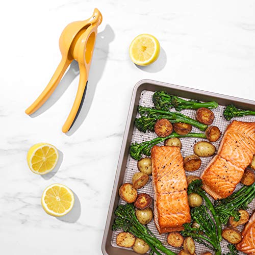 OXO Good Grips Citrus Squeezer