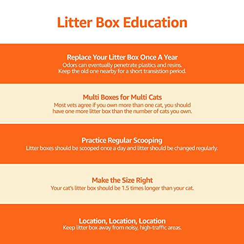 Amazon Basics No-Mess Hooded Cat Litter Box, Standard, Multicolor, 21 in x 16 in x 15 in