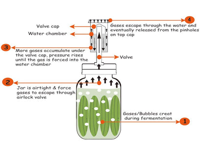 Jillmo Fermentation Kit, Stainless Steel Fermenting Lids for Wide Mouth Mason Jars (NO Jars)