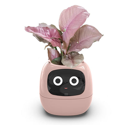 Itigoitie Smart Flowerpots,Smart Pet Planter,Ai Planter,Intelligent Flowerpots,Multiple Expressions,7 Smart Sensors, and Ai Chips Make Raising Plants Easy and Fun for Living Room,Plant-Free(Pink)