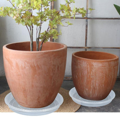 OVZILKI Plant Saucer 6 Pack of 12 inch, Clear Plastic Flower Plant Pot Saucer, Heavy Duty Plant Drip Trays Saucers for Indoor, Plant Water Tray for Planters